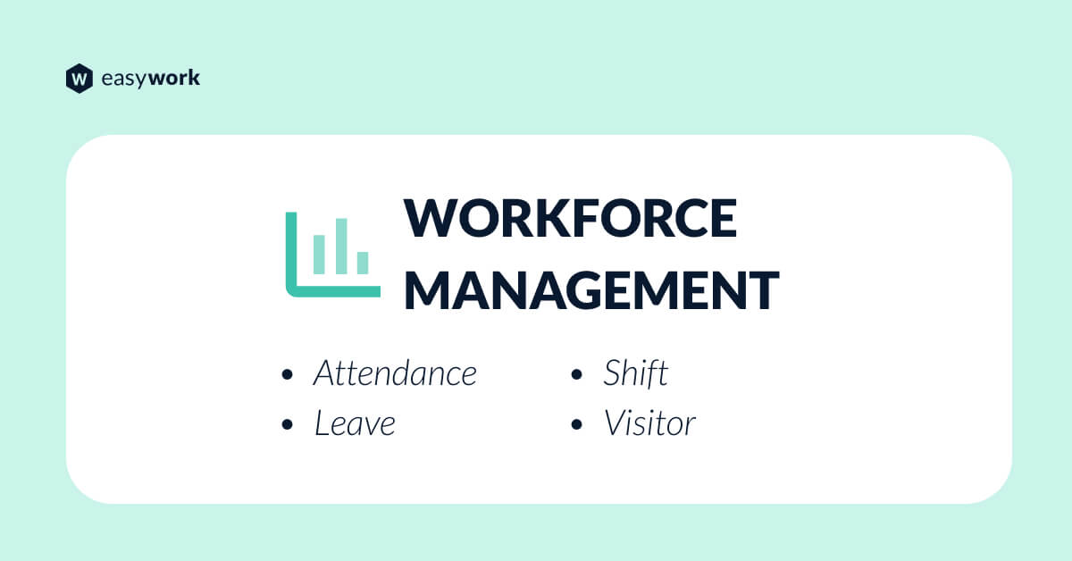 Employee Life Cycle Chart - Workforce Management