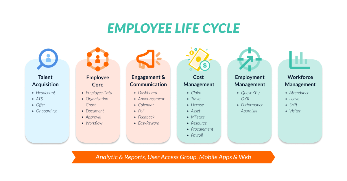 Employee Life Cycle Chart