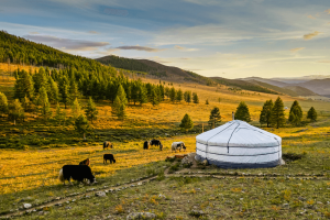 travel blog mongolia